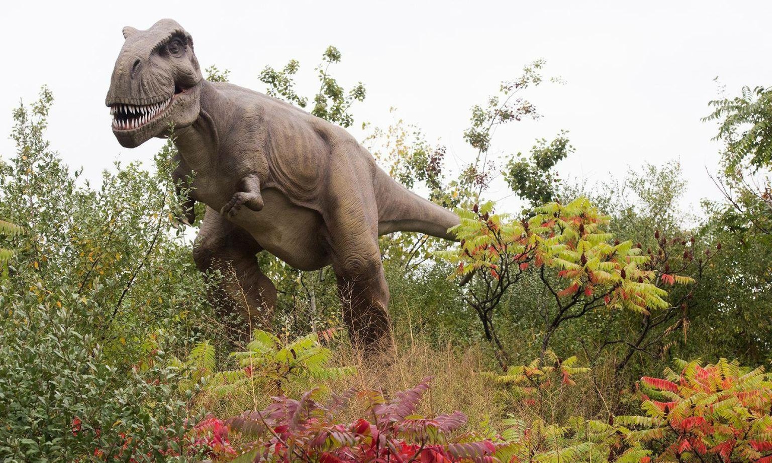Adventure through Field Station Dinosaurs with a Day Pass 