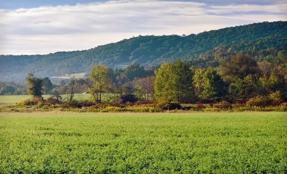 One- or Two-Night Stay at Sheppard Mansion Bed & Breakfast in Hanover, PA - Primary Image