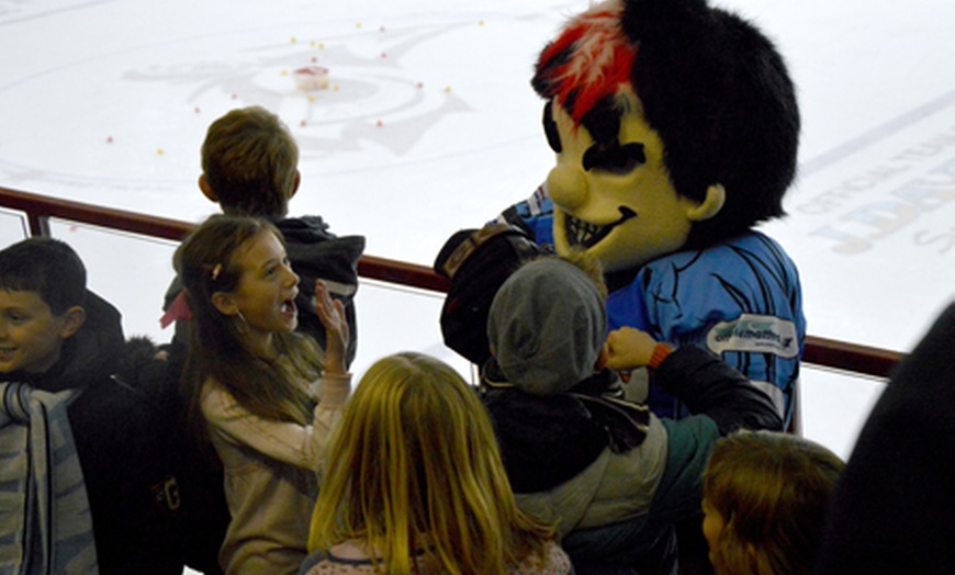 Image 3: Ice Hockey Match