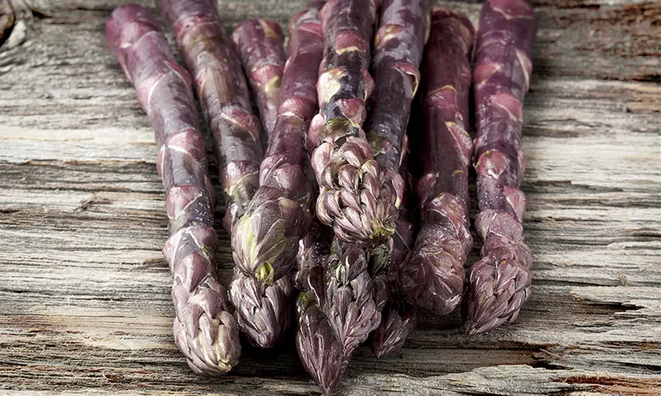 Pre-Order: Grow Your Own Vegetables - Second Medium