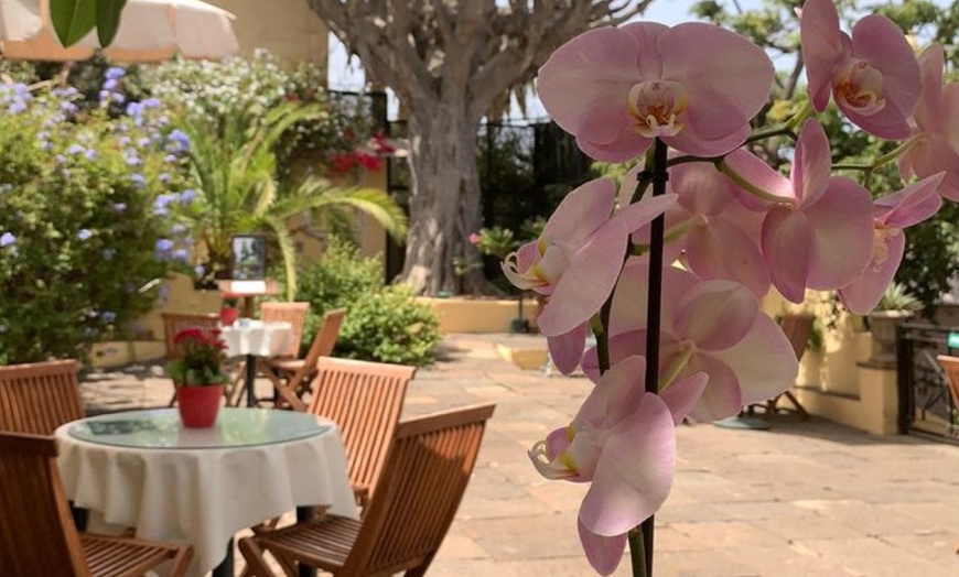 Image 10: Entrada al orquidario y brunch en Café Orquidea