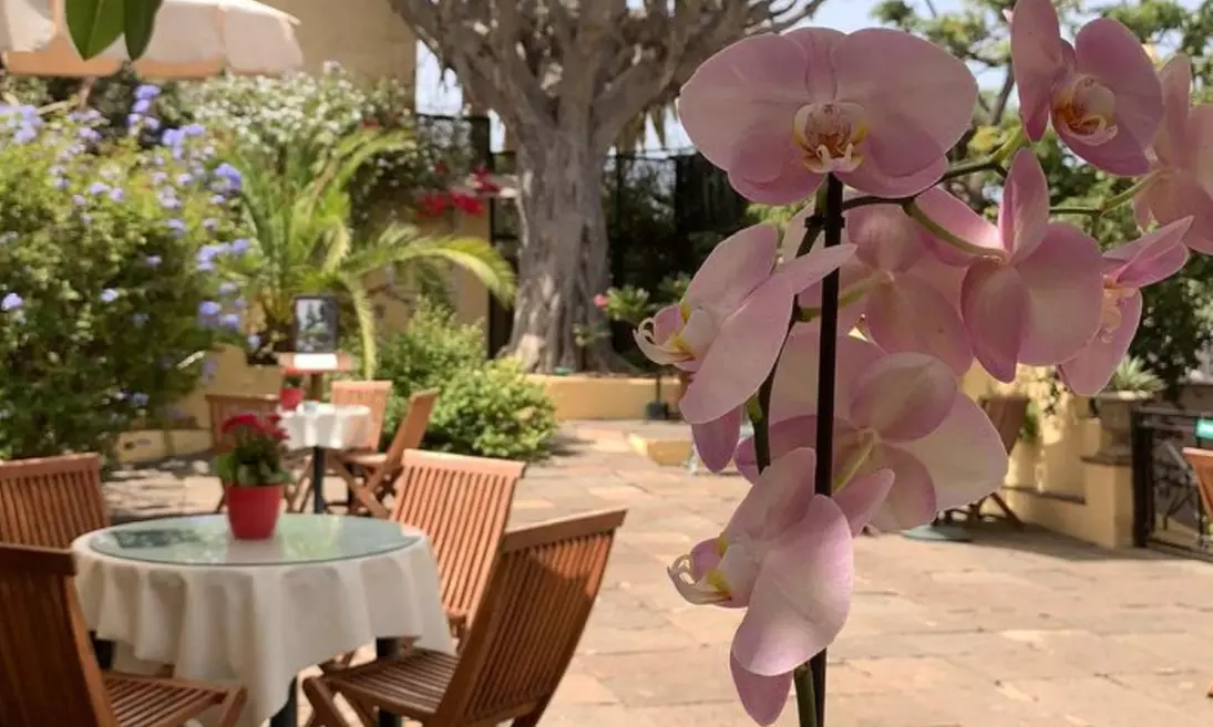 Entrada al orquidario y brunch en Café Orquidea
