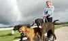 Three Days of Pet Sitting Services from Two Dogs and a Girl Pet Care (38% Off)
