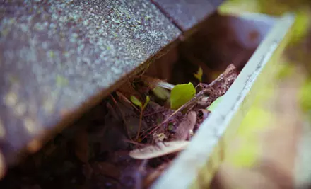 Gutter Cleaning for Up to 2,500, 3,500, or 5,500 Square Feet from Santos Helpers (Up to 70% Off) - Primary Image