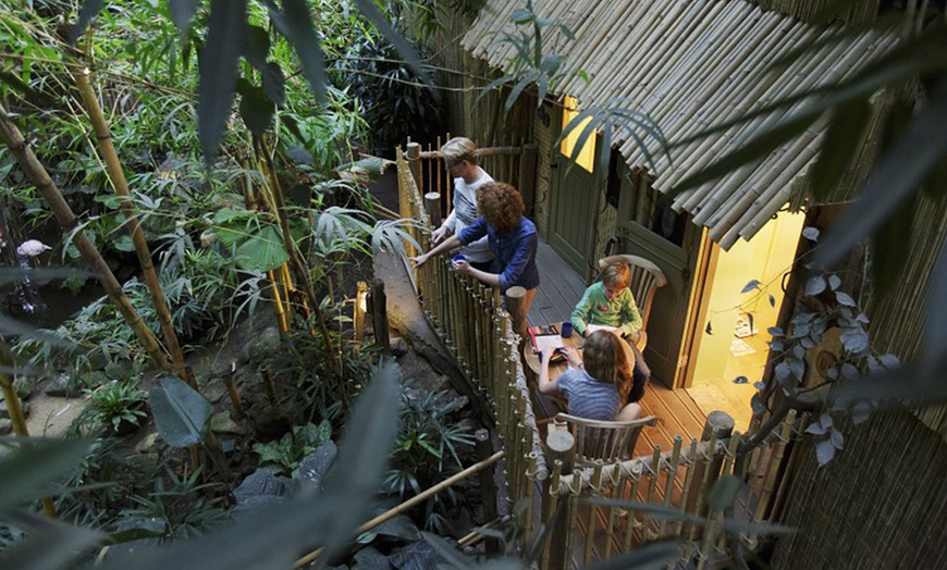 Image 12: Center Parcs: Jungle Cabana mit Frühstück und opt. All-in-Paket