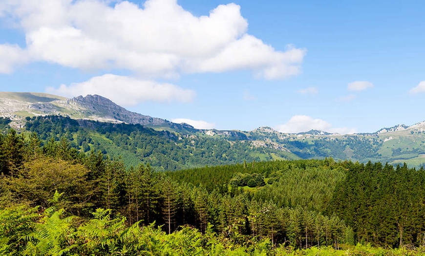 Image 18: Bilbao: 1, 2 o 3 noches con desayuno y spa