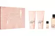Michael Kors Fragrance Gift Set - Image 2