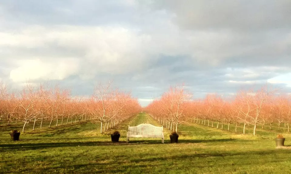 1- or 2-Night Stay for Two with Wine Tastings at Orchard Croft Boutique Country Retreat in Jordan Village, ON - Primary Image