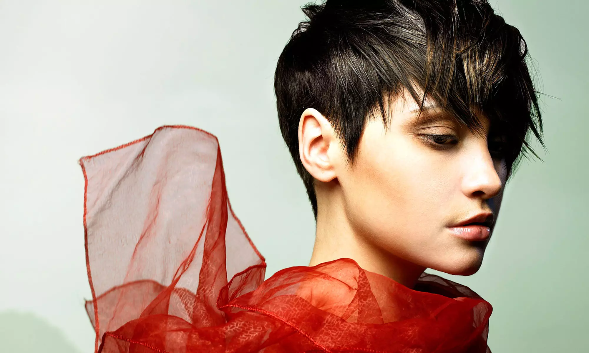 One or Two Haircuts with Style and Conditioning or a Haircut with Color or Highlights at Studio 54 Salon (Up to 63% Off) - Primary Image