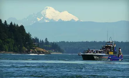 One-Hour Boat Tour for One, Two, or Four from Deception Pass Tours (Up to 55% Off) - Primary Image