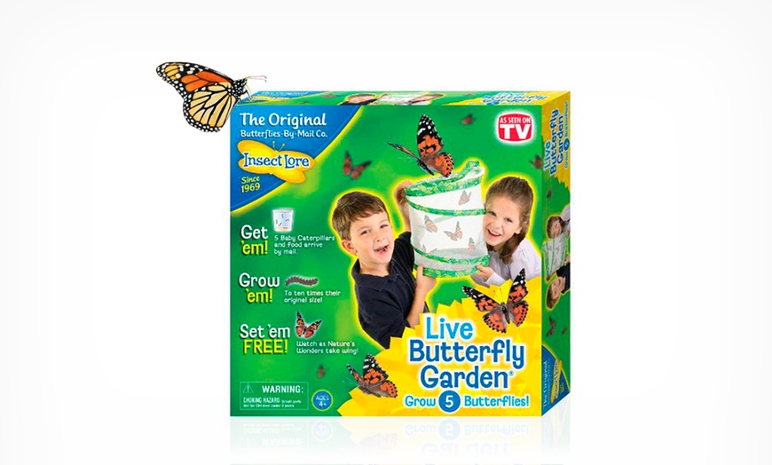 Image 1: Butterfly Garden Hatching Kit