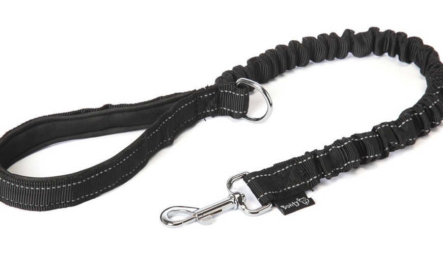 Image 3: Bunty Anti-Shock Dog Lead