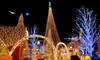 $199 for a Four-Hour Holiday-Lights Tour for Up to 10 from Royal Limousine (Up to $400 Value)