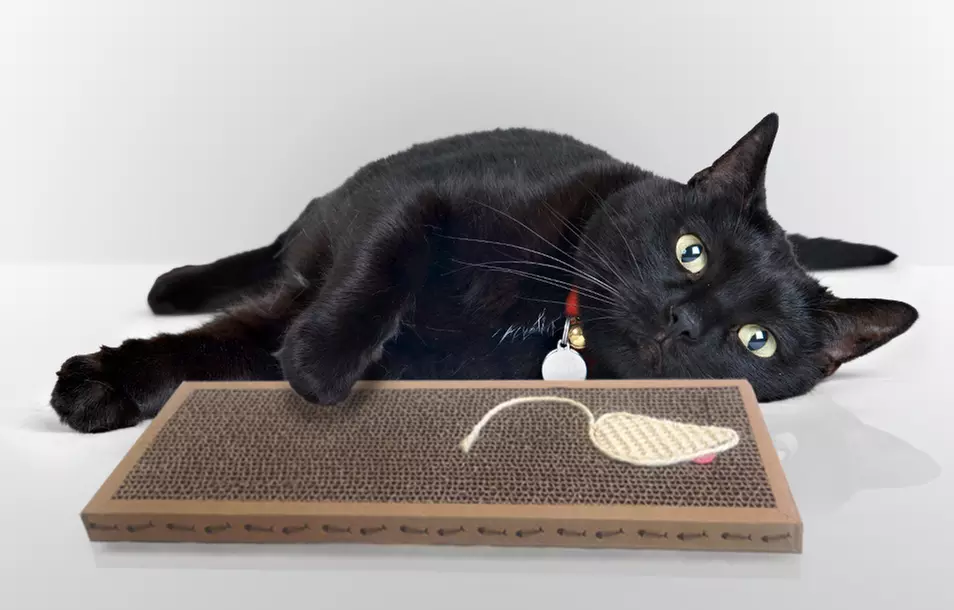 Up to 60% Off ASPCA Cat Scratching Furniture. Multiple Styles Available. Free Returns. - Second Medium