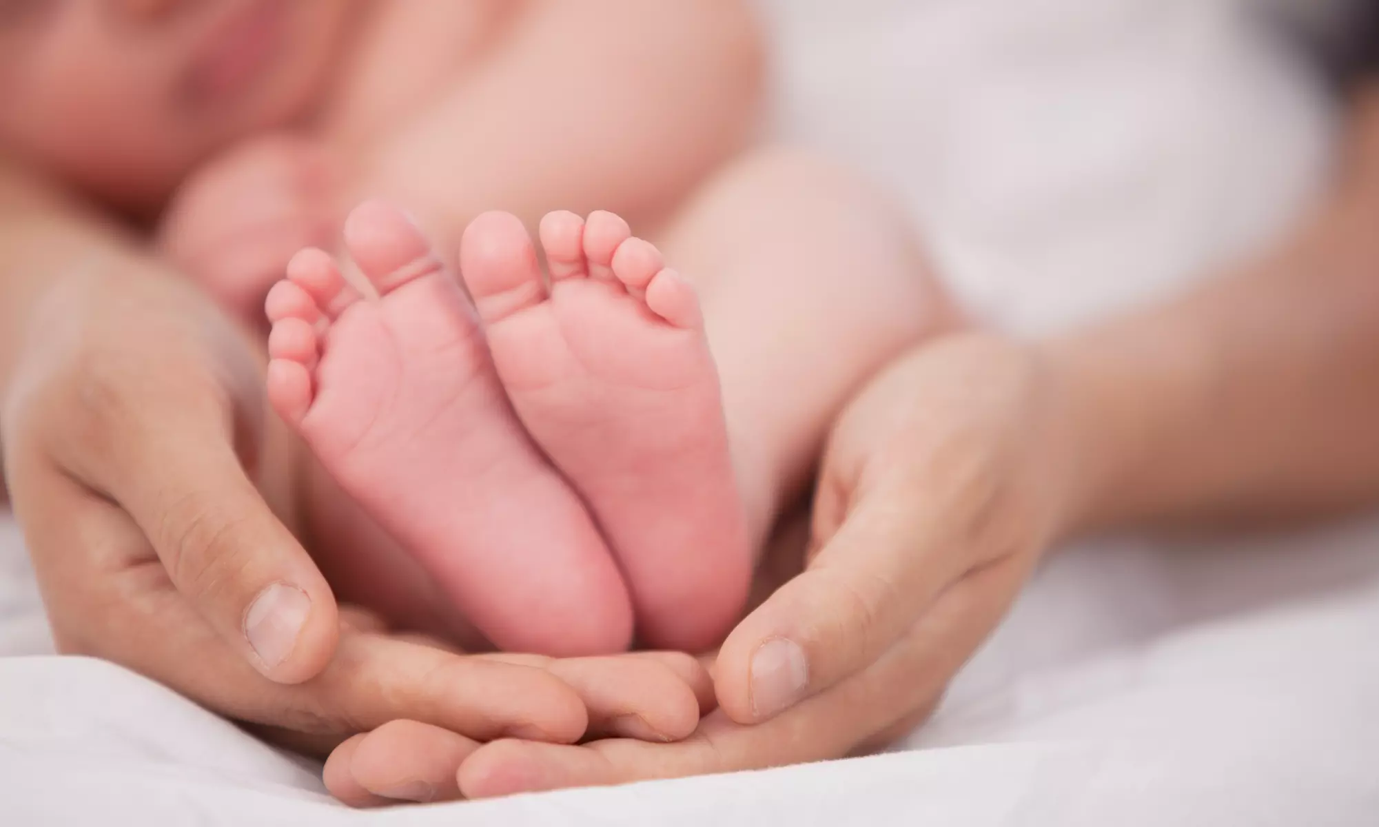 $38 for $150 Worth of Lifecycle Photography — Raymond Allan Photography - Primary Image