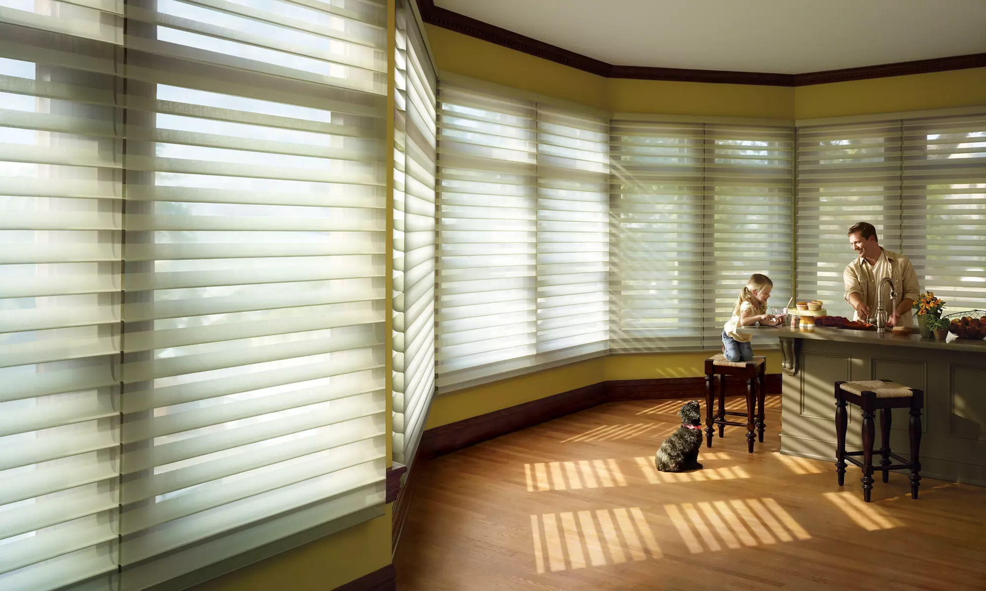 $99 for $250 Toward Window Fashions with an In-Home Consultation from Supershade - Primary Image