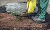 $50 for $90 Worth of Landscaping — Strobbe Pro