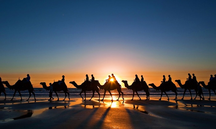 Al Dhabi Horses & Camels Rental - From AED 179 - Dubai 