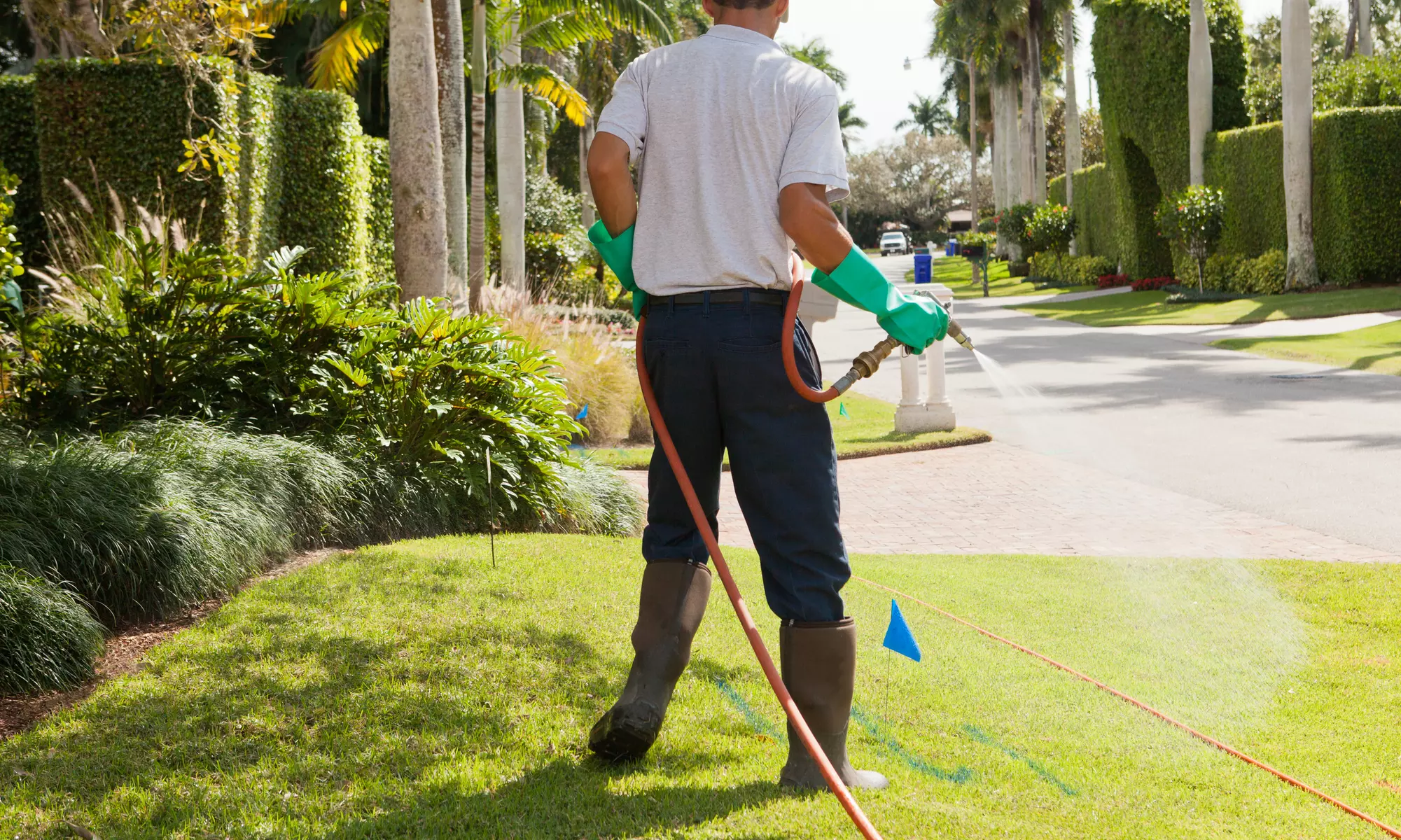 $74 for $135 Worth of Pest-Control Services — Truly Nolen West Metro - Primary Image