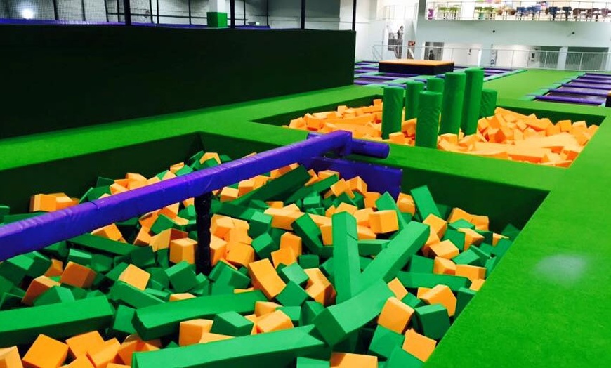 Image 5: Trampoline Park Access