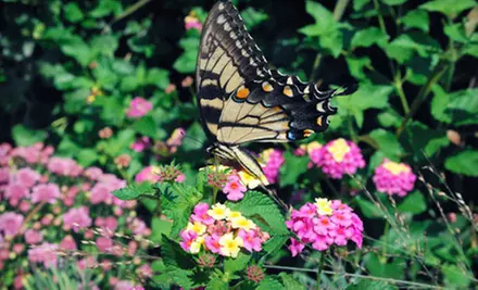 $15 for Scott Arvin Quartet Concert for Two at The State Botanical Garden of Georgia on September 25 (Up to $30 Value) - Primary Image