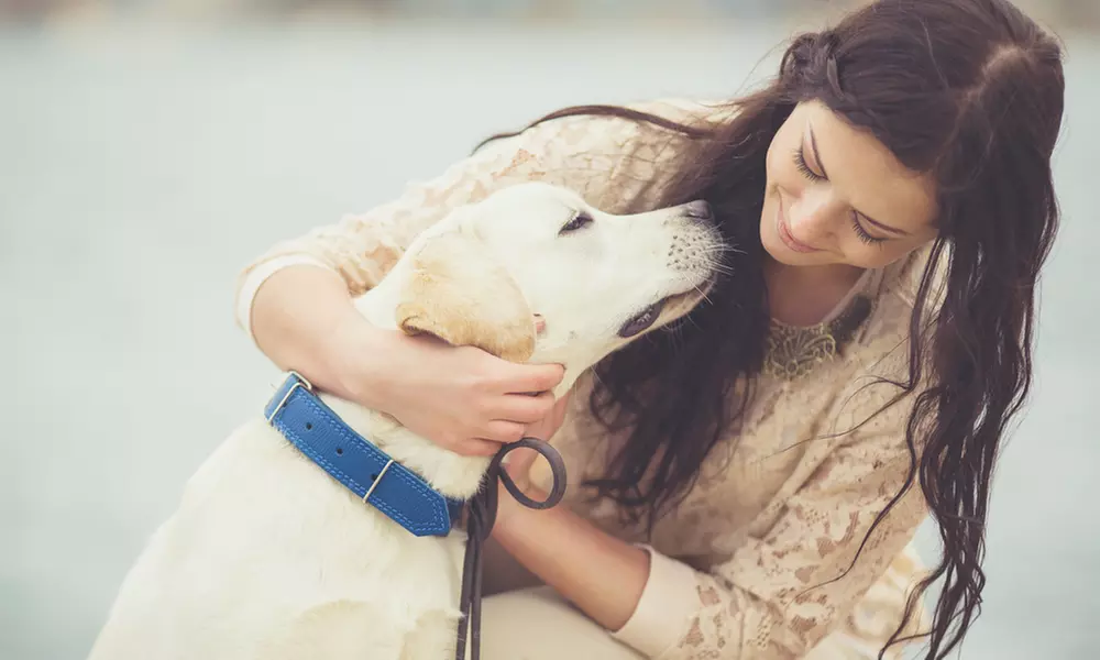 Five or Ten Days of Dog Daycare at Lucky Bones Inc (Up to 52% Off) - Primary Image