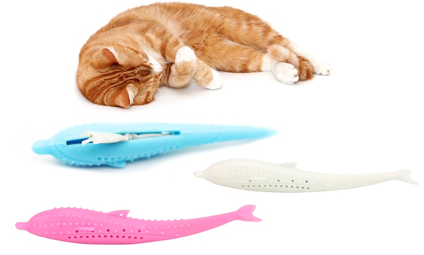 Image 1: Silicone Toothbrush Toy for Cats