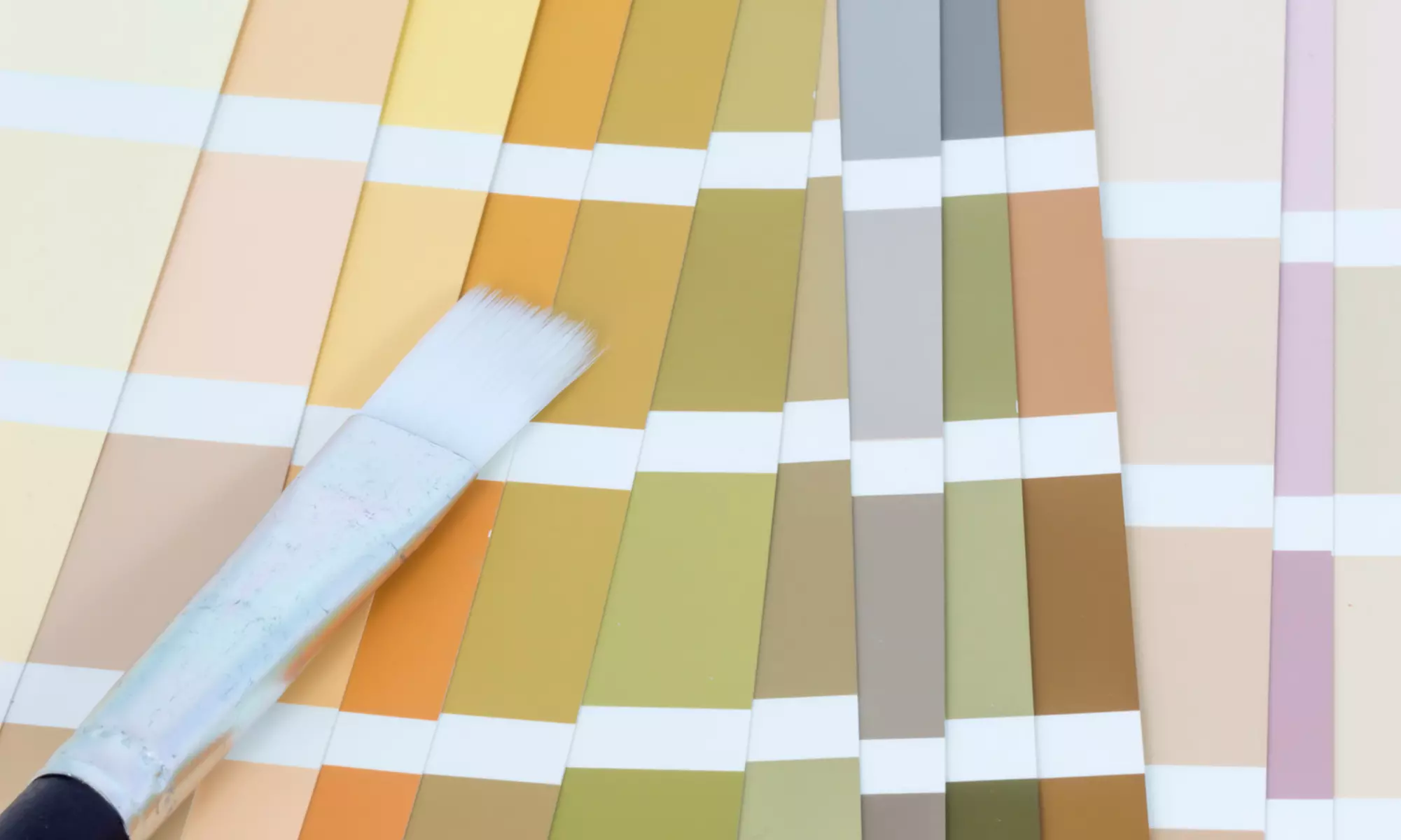 Home Wall-Color Consultation for One or Three Rooms from Golden Boys Painting & Staining (Up to 63% Off) - Primary Image