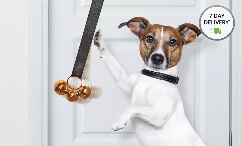 Potty Chimes Dog Potty-Training Chimes and DVD. Free Returns. - Primary Image