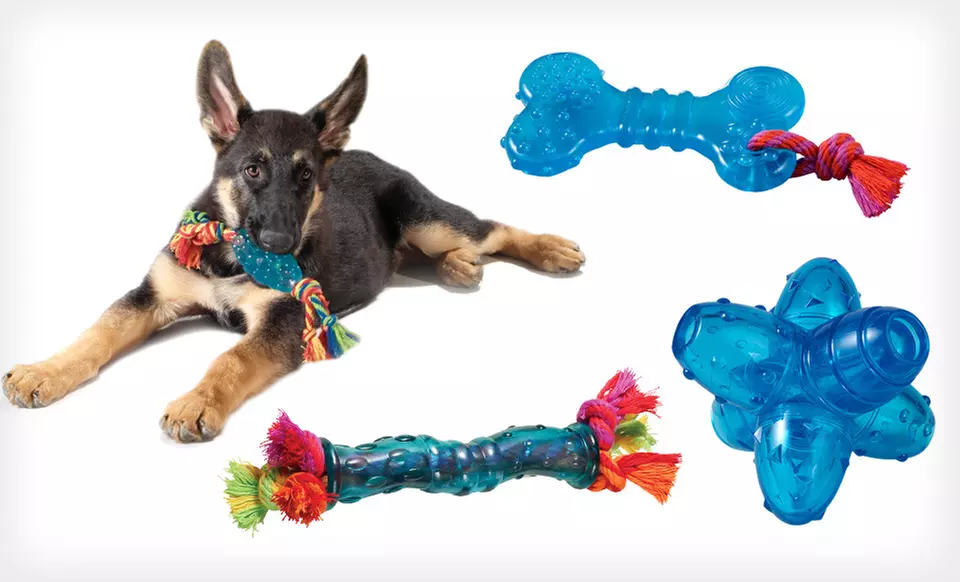 Petstages Orka Dog Toys (Up to 27% Off). Seven Options Available. Free Shipping on Orders $15 and Up. Free Returns. - Primary Image