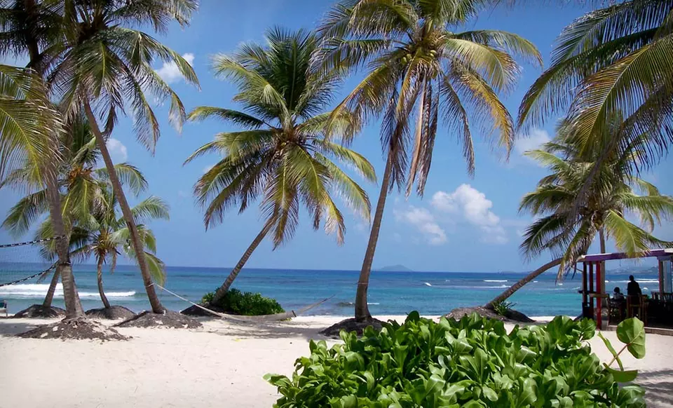 Three-, Five-, or Seven-Night Stay with Dinner Credit at Hibiscus Beach Resort in St. Croix - Primary Image