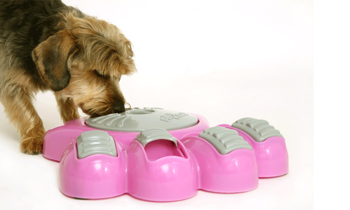 Gamelle interactive pour chiens/chats Groupon Shopping