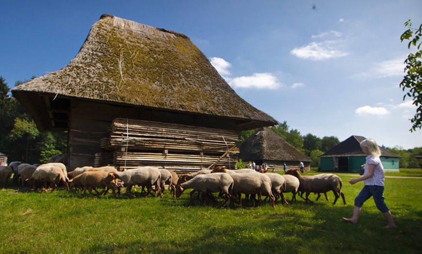 Image 7: Openluchtmuseum van Bokrijk  + De sixties