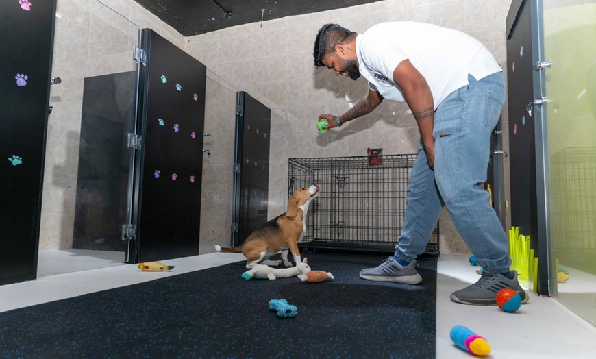 Image 2: Treat Your Pet to the Ultimate VIP Experience