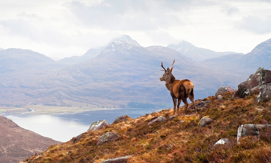 Image 3: Stay with Dinner in Cairngorms National Park