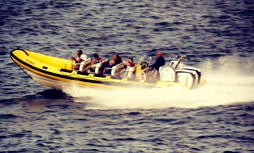 Image 2: Fast Rib Ride for Up to Twelve