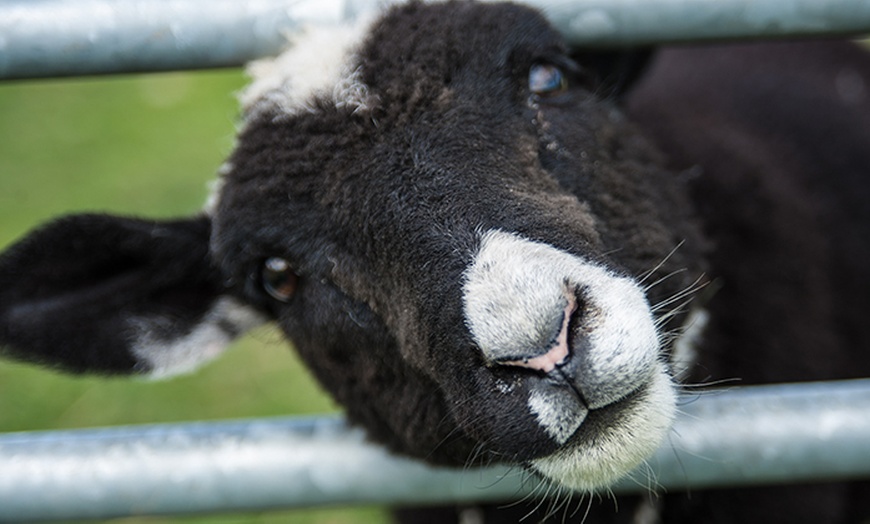 Image 3: Chew Valley Country Farm