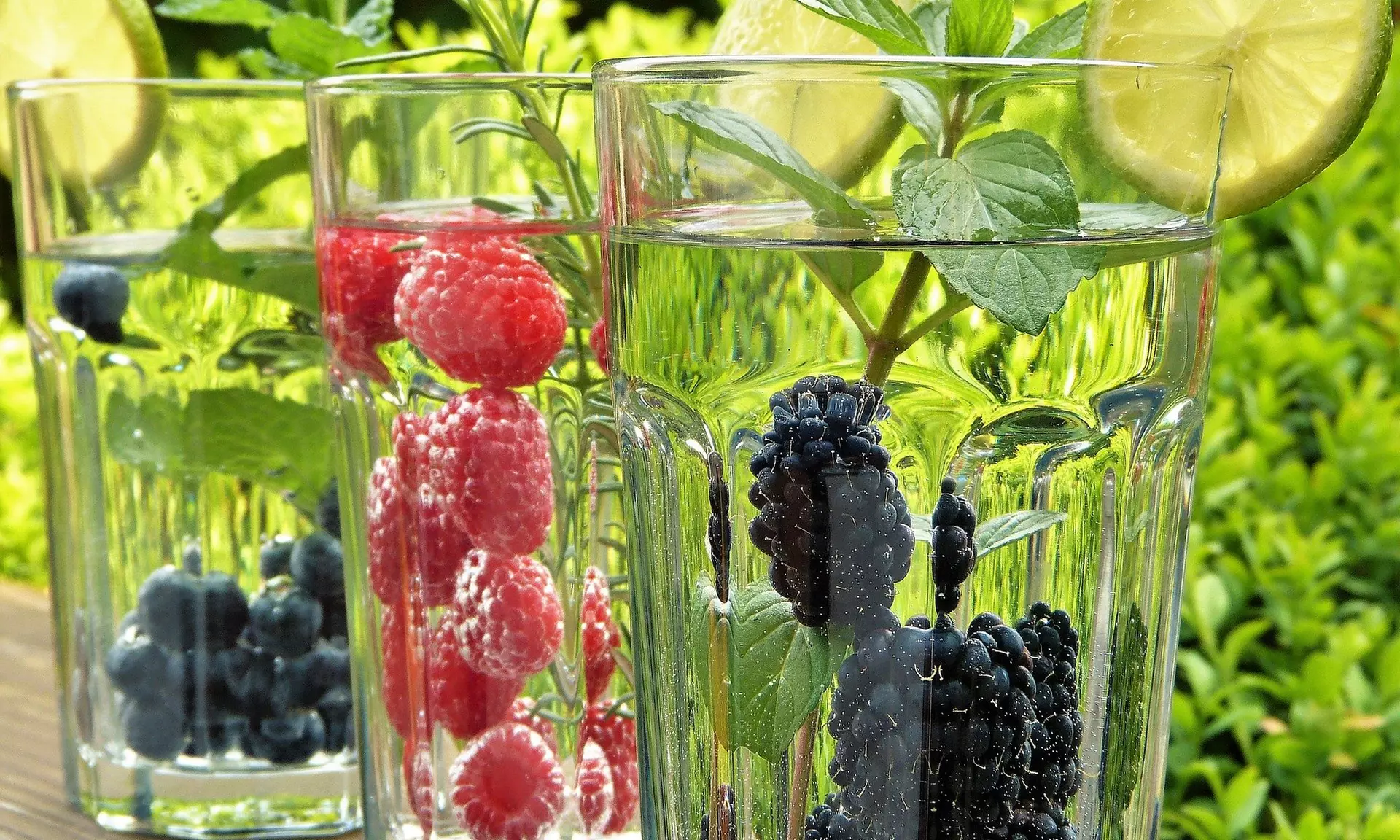 Set di 4 o 8 piante di ribes e lampone