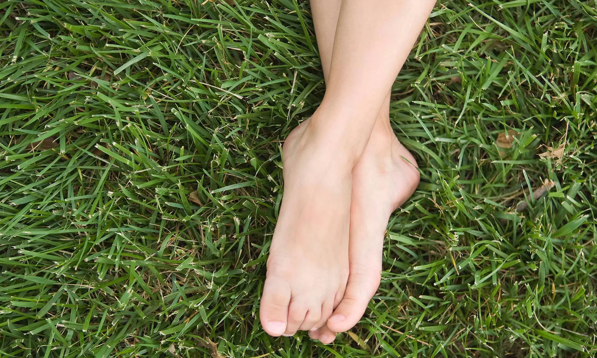 Laser Toenail-Fungus Removal for 1, 5, or 10 Toes at Dr. Michael Uro Foot Care (Up to 72% Off) - Primary Image