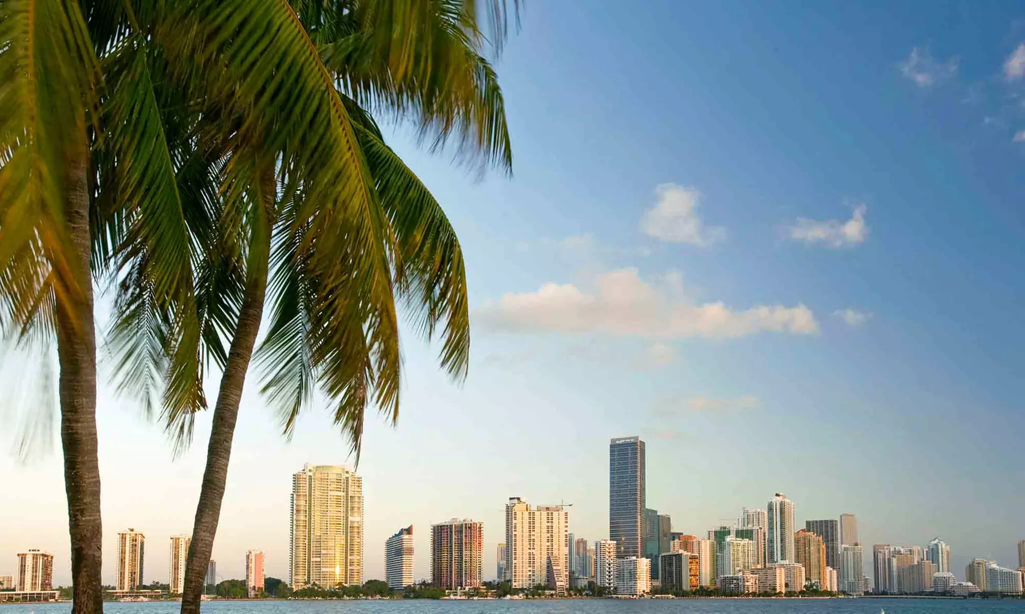 Choice of Tour for 2, or Amazing Miami and Nature Tour for 2 or 12 from Amazing Tours Miami (Up to 75% Off) - Primary Image