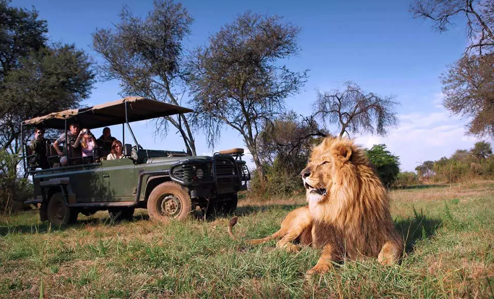 11-Day, 8-Night Tour of South Africa with Airfare, Accommodations, and Some Meals from Africa Answers - Primary Image