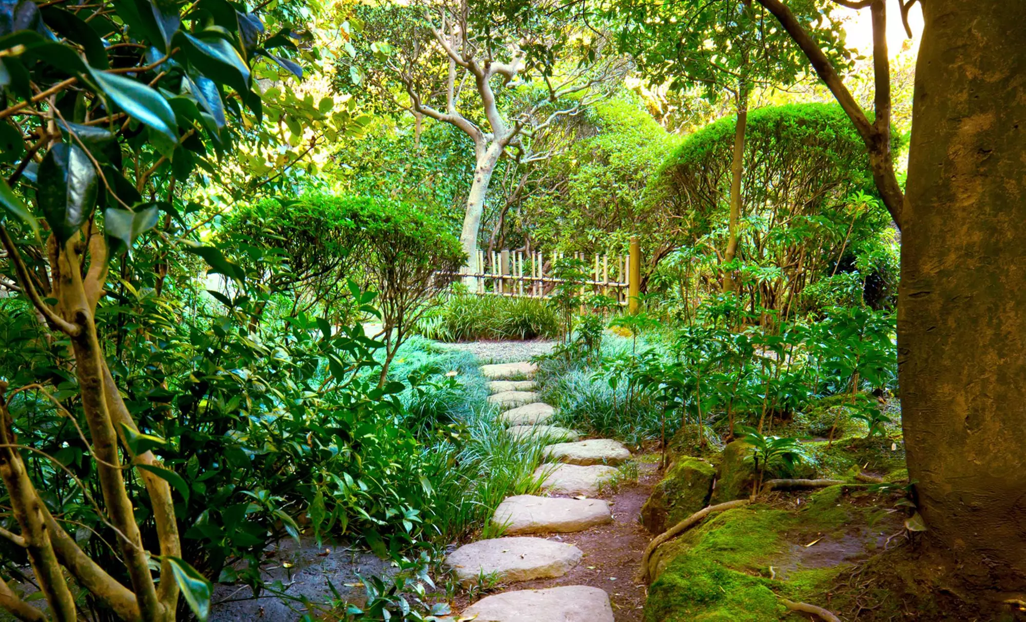 $25 for $50 Worth of Products — Arthurs Turf Management - Primary Image