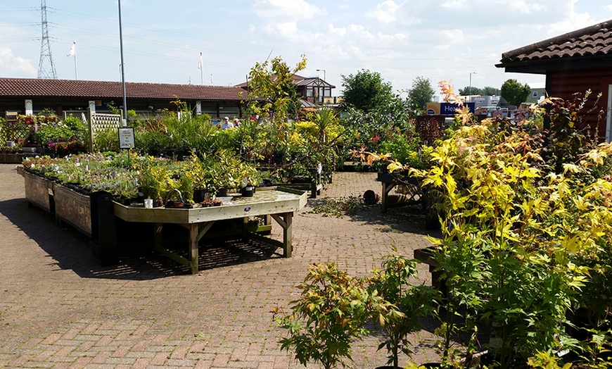 Image 6: Garden Centre Afternoon Tea £4.99