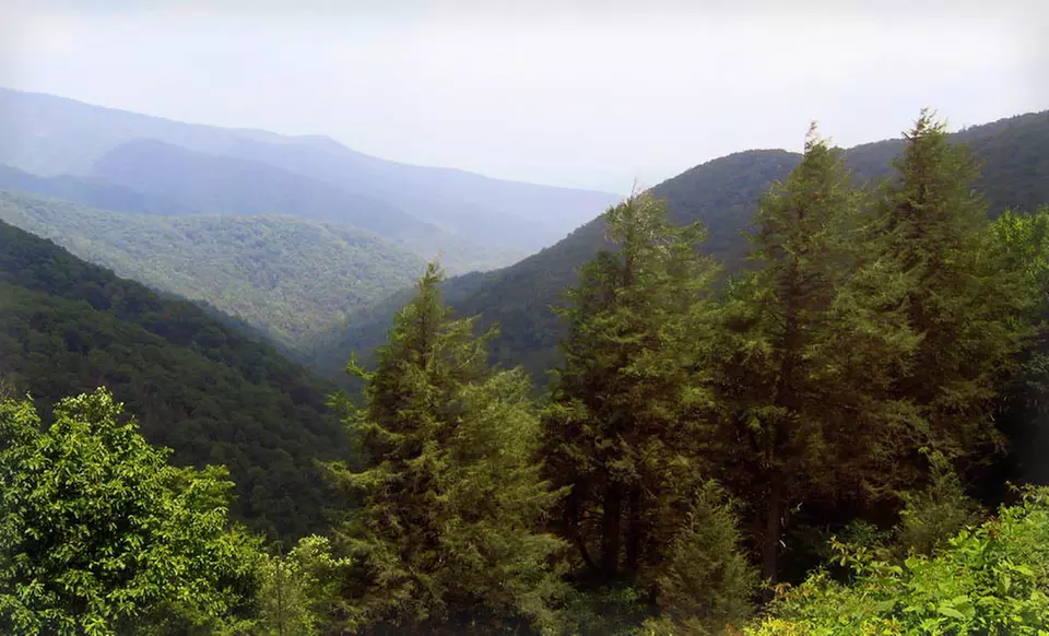 2- or 3-Night Stay at Brookside Mountain Mist Inn in Waynesville, NC - Second Medium