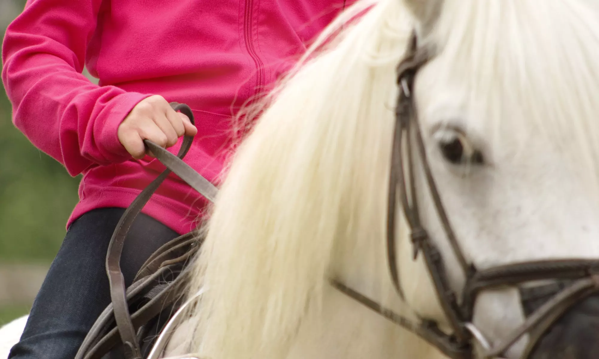 Two or Four 45-Minute Private Horseback-Riding Lessons at Ainsley Riding Academy (Up to 57% Off) - Primary Image