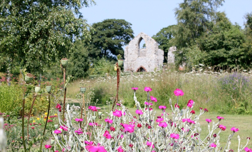 Image 2: Priory Maze and Gardens Entry