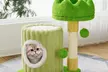 53Cm Tree - Hole Design Cat Tree Tower Playing House for Hide and Sleep - Image 3