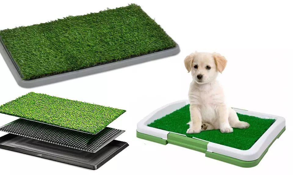 Litière herbe synthétique pour chiens - Primary Image