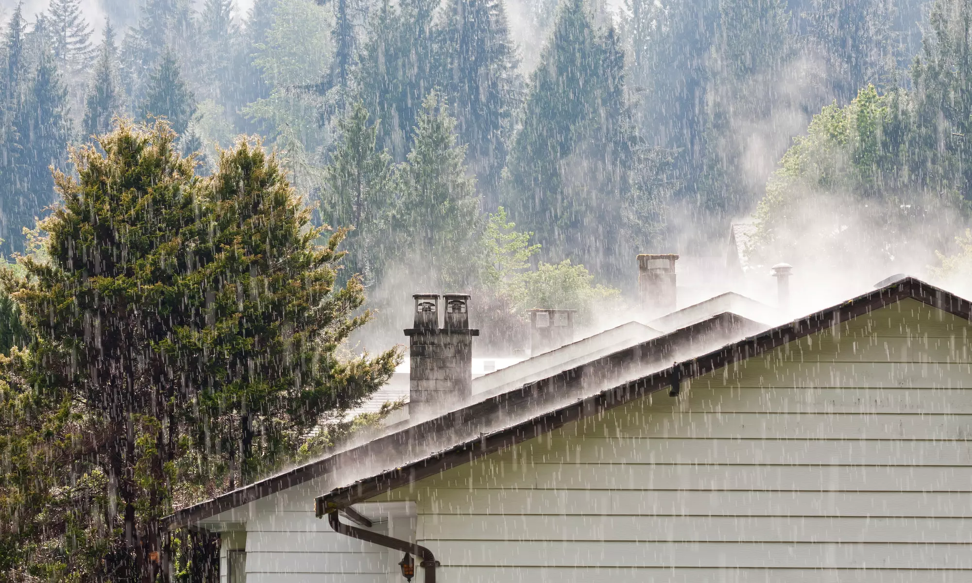 Two Hours of Cleaning Services from Dimonike Cleaning Services (55% Off) - Primary Image