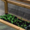 Image 8: Garden Grow Wooden Cold Frame with Optional Legs